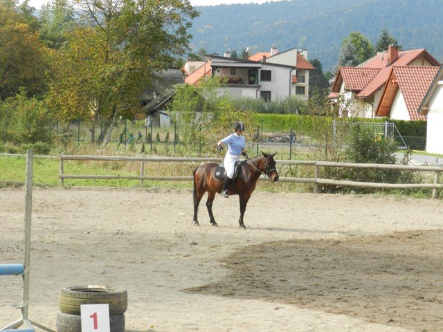 Babie Lato 2016